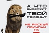 Авто Прайд Авто Прайд
