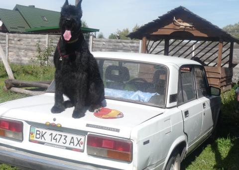 Lada (ВАЗ) Lada 2107 (ВАЗ 2107) 0i 1.5 MT