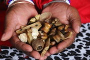 [+277’64410’726]] SANGOMA/ A TRADITIONAL HEALER AND A SPIRITUAL HEALER in  Pretoria,  Diepsloot,  Durban,  Sasolburg,  Botshabelo,  Bothaville, Potchefstroom,  Klerksdorp, Secunda,  Middleburg,  Ermelo,  Witbank,  Mafikeng,  Lichtenburg,  Rustenburg,  Nel