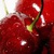 cherry12