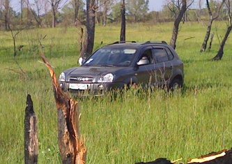 Hyundai Tucson (JM, 2005-2010) 2.0 MT 4WD GLS