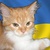 Владимир Юдин