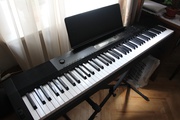 Цифровое пианино Casio CDP-220R