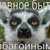 СА