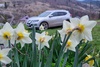 Nissan Rogue 2.5 SL AWD [вер.1]