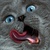 KOT_кот
