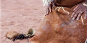 SPELL CASTER [+27’764’4107’26]] ? SPIRITUAL HEALER in WALIVIS BAY, HUAMBO, NDOLA, NAMPULA, ARUSHA, MAUN, OSHAKATI, LOBITO, CHITUNGWIZA, WAU, BUJUMBURA, KIKUYU, MBEYA, MOGODITSHANE, SWAKOPMUND,BENGUELA, NAKURU, KUACJOK CHIMOIO, DIRE DAWA, MOROGORO, South a