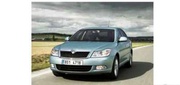 Зеркало Skoda Octavia A5 с 2009 г.