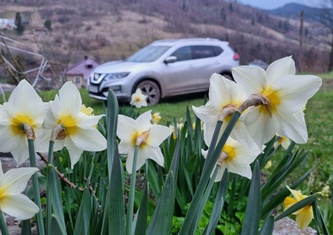 Nissan Rogue 2.5 SL AWD [вер.1]