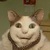 macnook