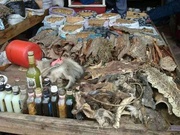 Traditional Healer [+2776”4410”726]** Sangoma  In Port Elizabeth , Postmasburg , Pretoria , Queenstown , South africa ,Qumbu , Randfontein , Randvaal , Roodeport , East London, Ermelo, Kimberly, Mthatha, Queenstown,