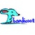 bandicoot