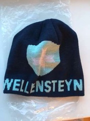 Продам шапку Wellensteyn