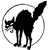 Black Cat