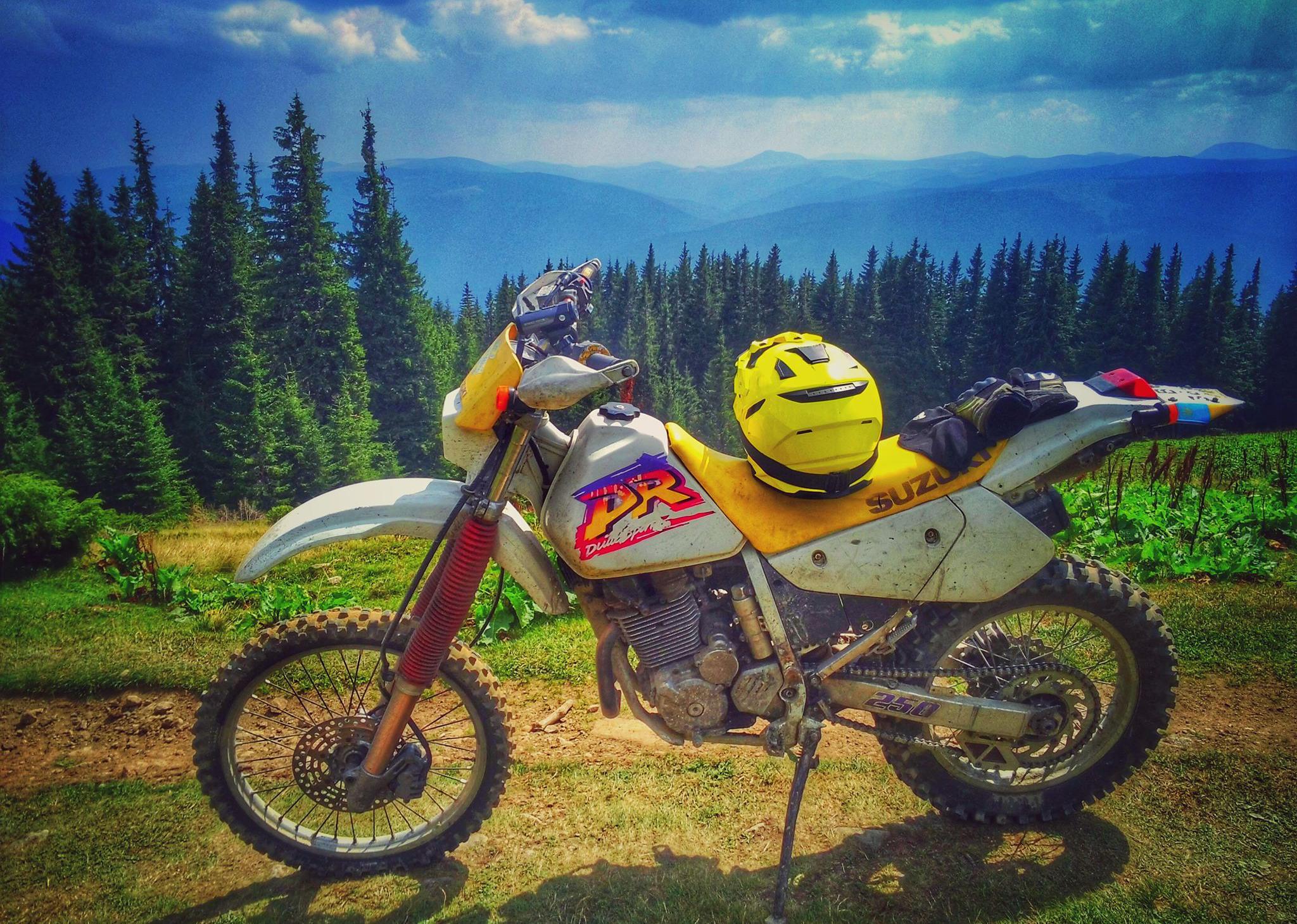 Suzuki DR250 Suzuki DR250