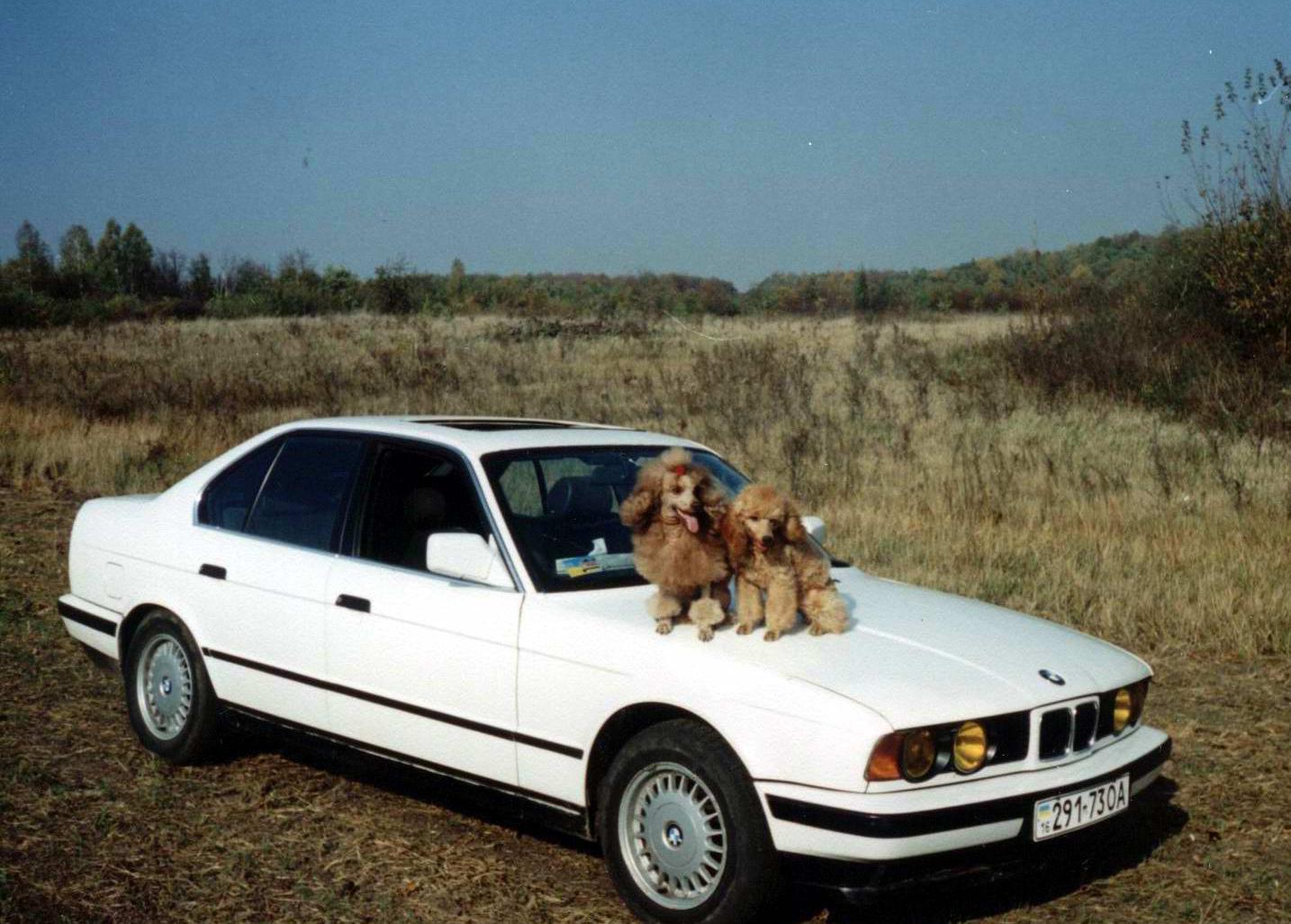 BMW 524 tdA